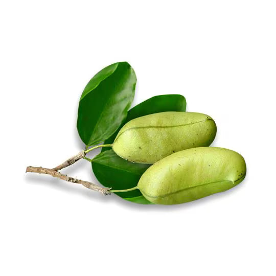 Griffonia Extrakt